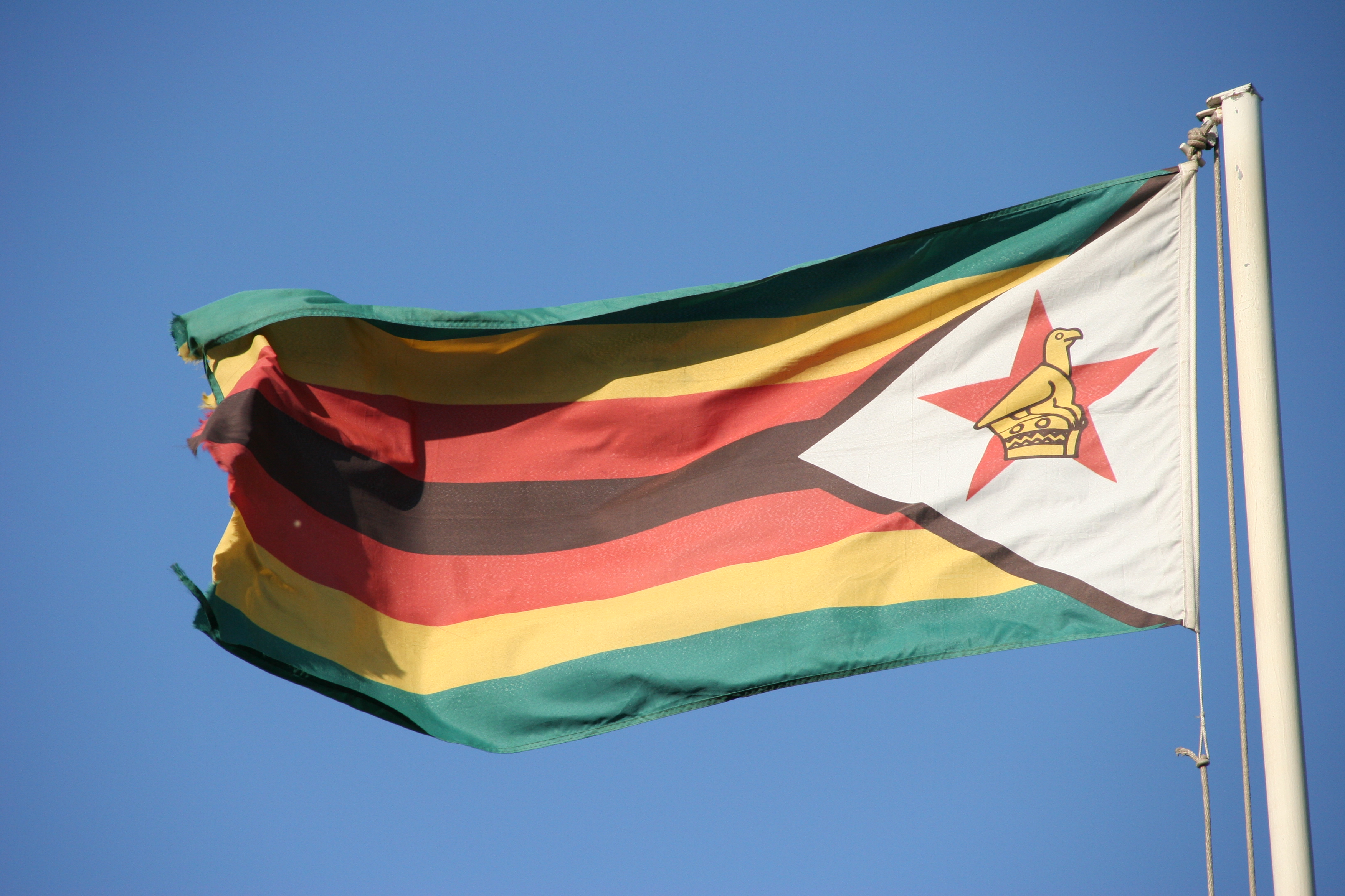 The national flag of Zimbabwe