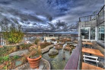 A rooftop terrace with plants, a rocky water feature, and seating by a glass-walled building overlooks a cityscape.