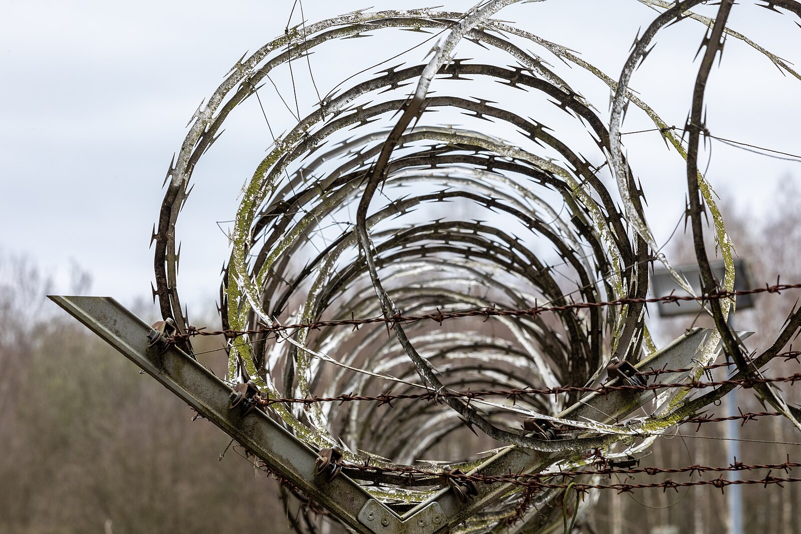 barbed wire