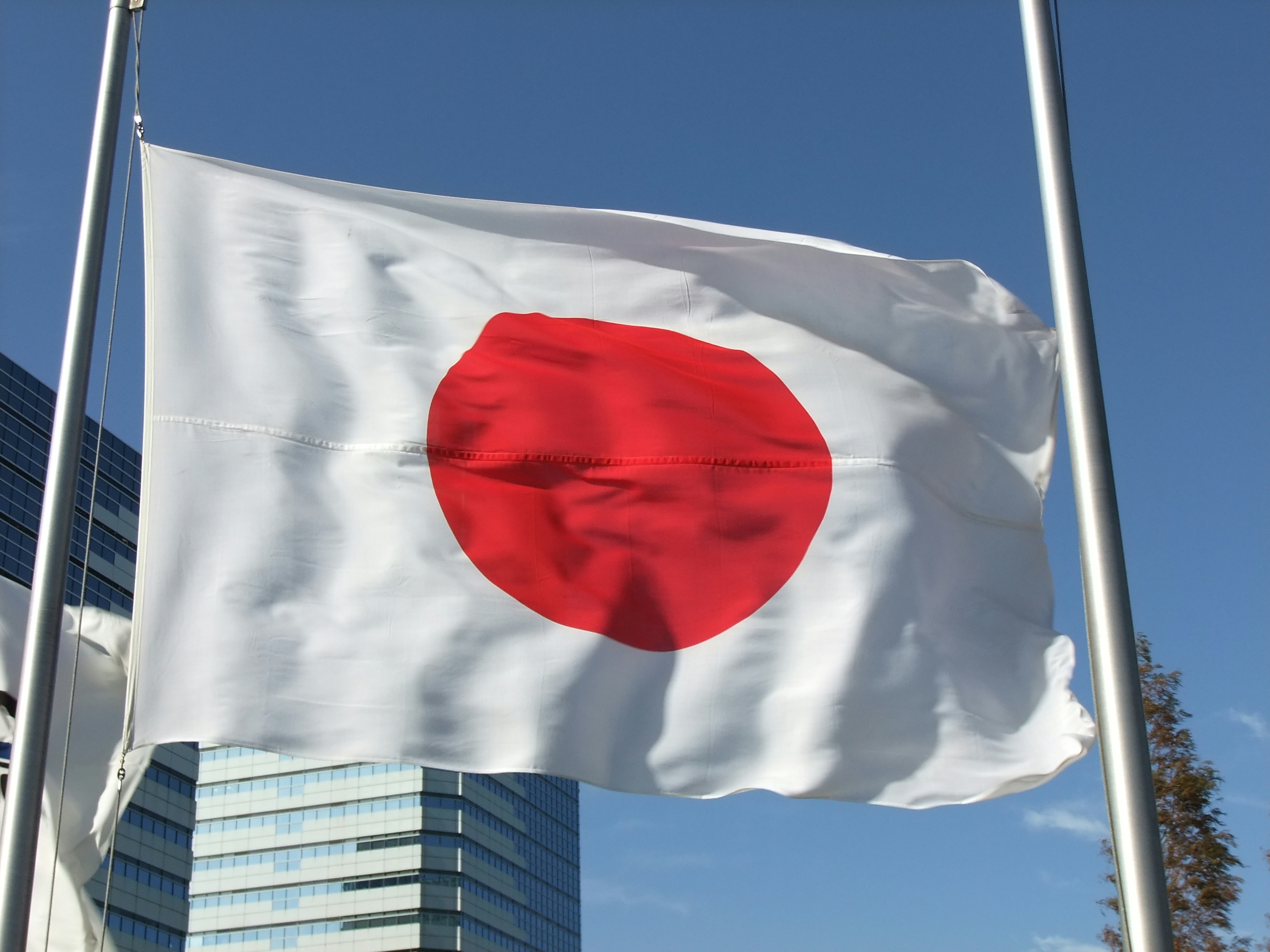 The national flag of Japan