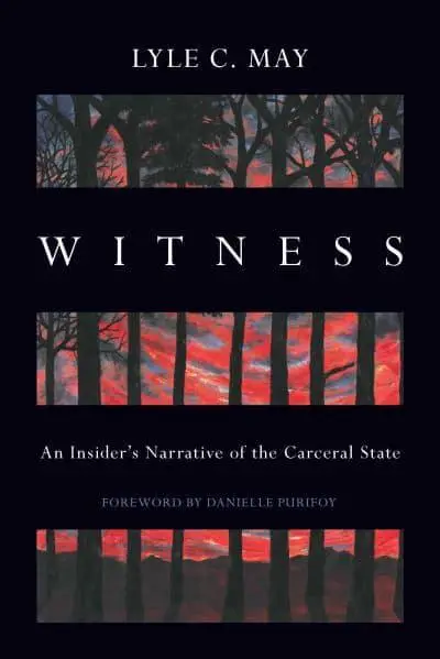 Cover of Lyle C May's 2024 book 'Witness'