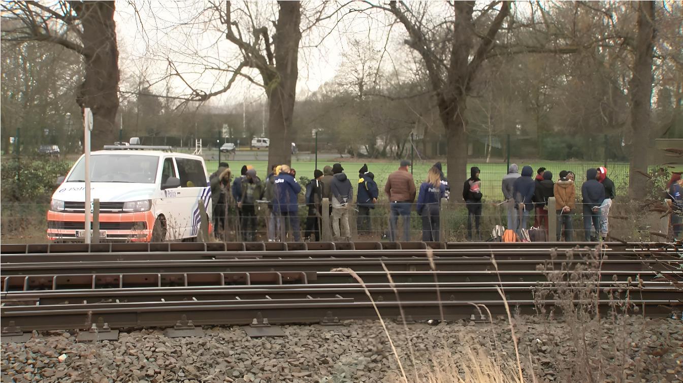 a series of men are standing behind a fence next to a white van, all looking towards the forest