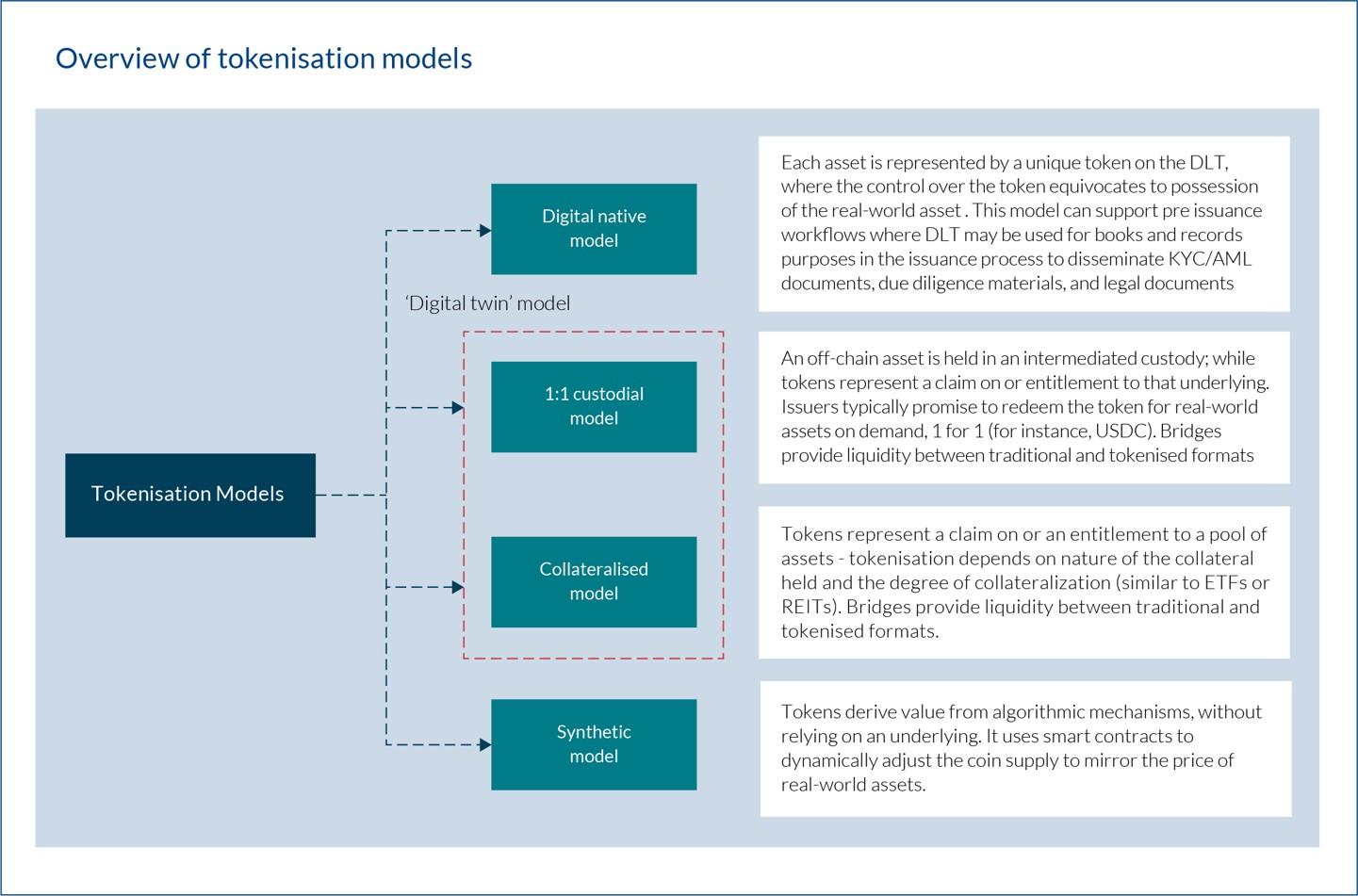 Overview of tokenisation models